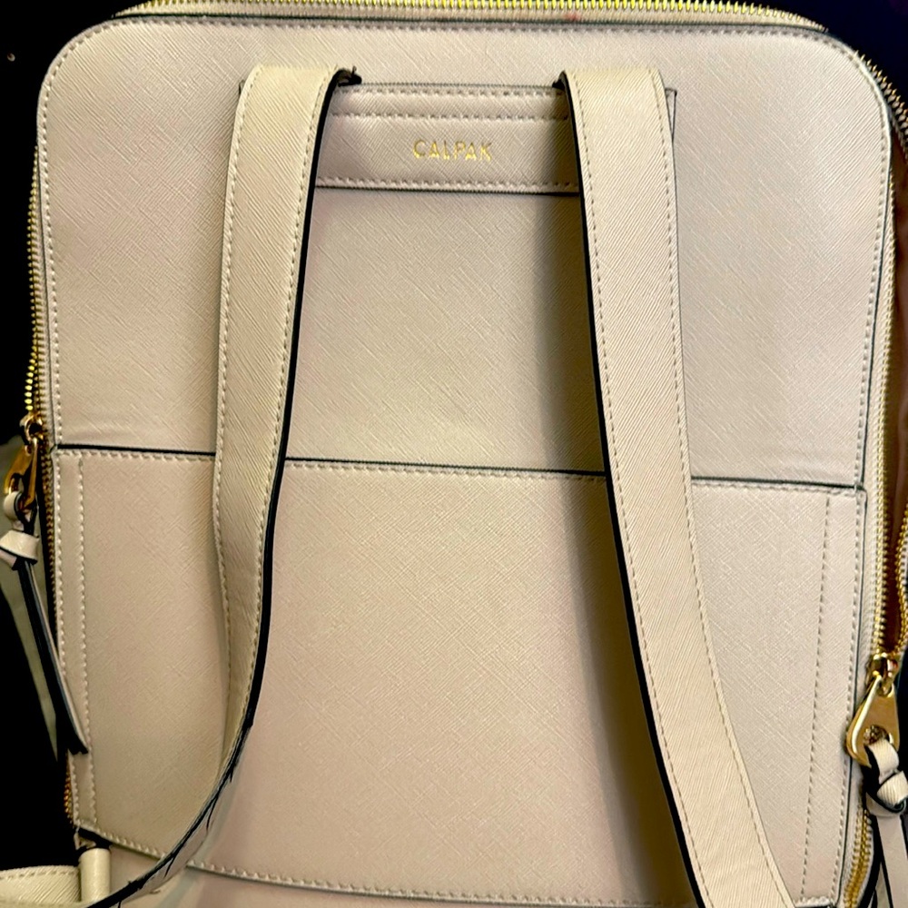 Calpak backpack